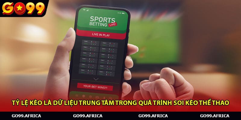 Tỷ lệ kèo là dữ liệu trung tâm trong quá trình soi kèo thể thao.